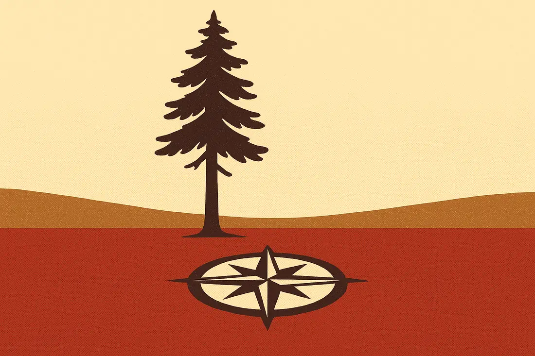 Illustration: a single tall pine beside a compass rose at dawn